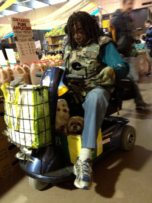 Henry's ride is perfect for him AND his two pups! You can often find the 3 of them at the St. Lawrence Market on Saturdays.