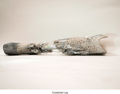 Chrystalized Leg